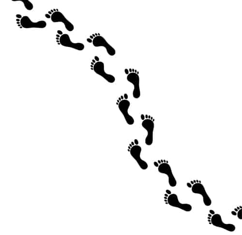 procedural steps