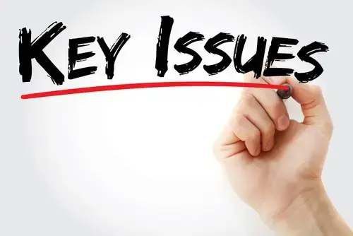 Key Issues