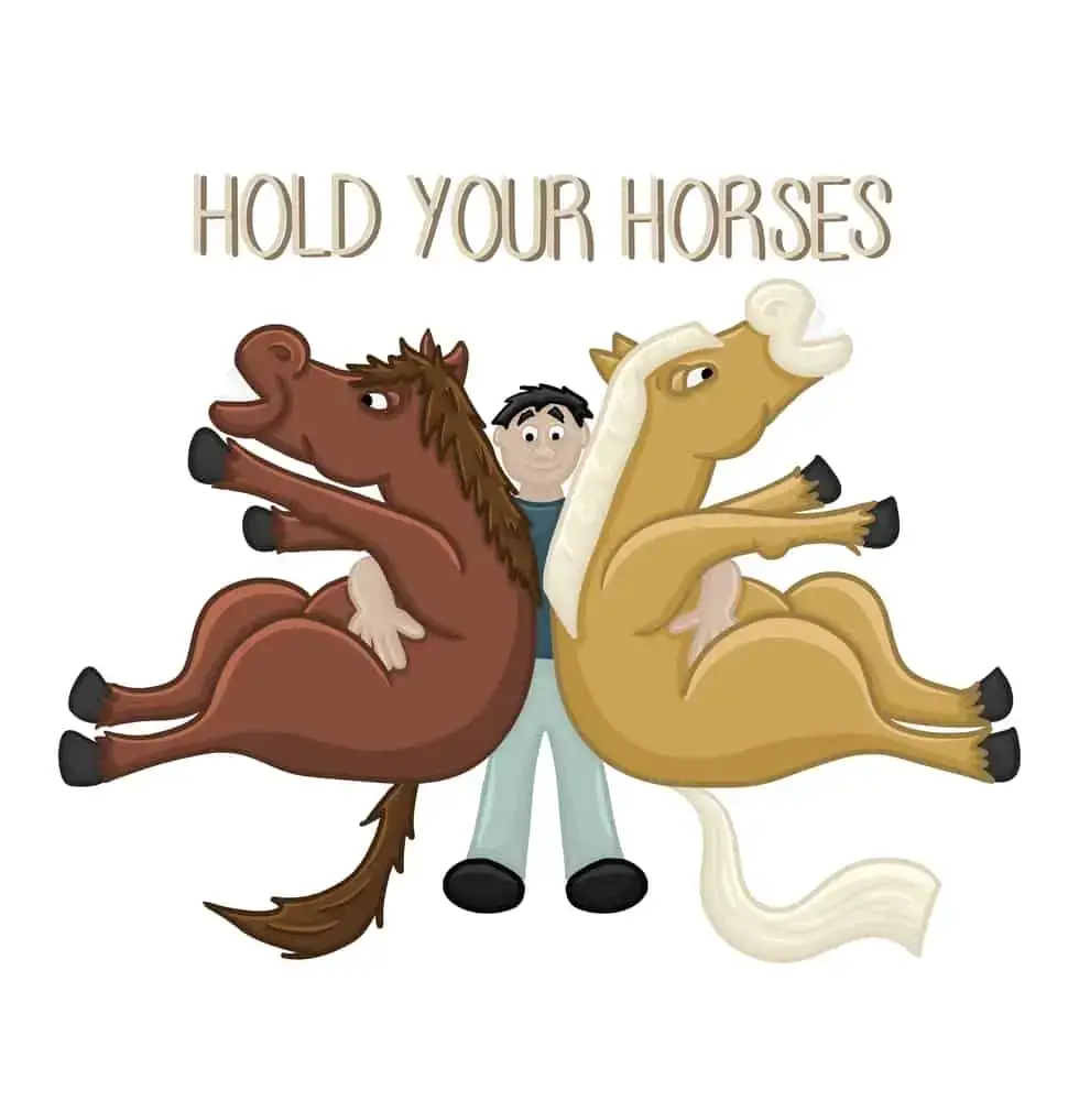 hold your horses
