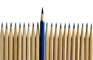 Kenig v Thomson Snell & Passmore LLP