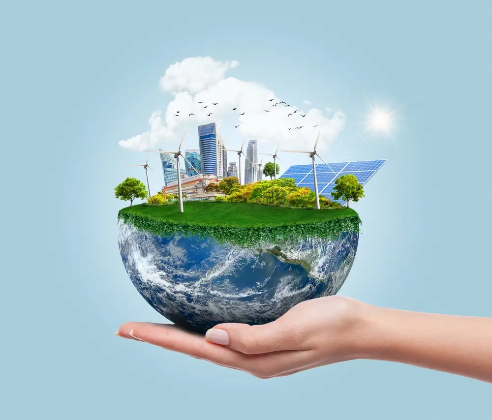 HM Treasury & Anor v Global Feedback Ltd